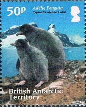 Colnect-2888-042-Adelie-Penguin-Pygoscelis-adeliae.jpg