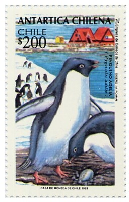 Colnect-558-294-Adelie-Penguin-Pygoscelis-adeliae.jpg