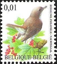 Colnect-567-431-Common-Nightingale-Luscinia-megarhynchos.jpg