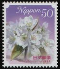 Colnect-4109-300-Flower-of-the-Nijsseiki-Pear---Tottori-Pref.jpg