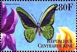 Colnect-4742-176-Ornithoptera-primaus.jpg