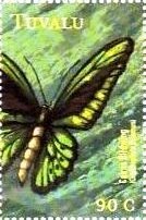 Colnect-4762-523-Ornithoptera-priamus.jpg