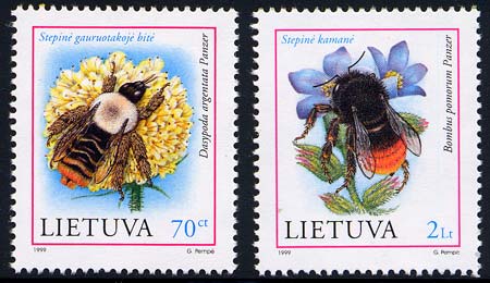 Skap-lithuania_02_bee.jpg