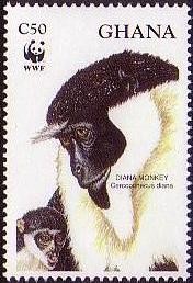 Colnect-1718-795-Diana-Monkey-Cercopithecus-diana.jpg