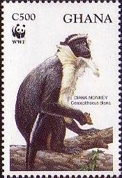 Colnect-1718-797-Diana-Monkey-Cercopithecus-diana.jpg