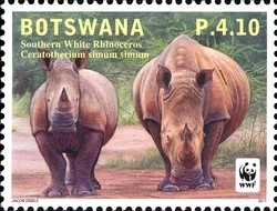 Colnect-1424-435-Southern-White-Rhinoceros-Ceratotherium-simum-simum-.jpg