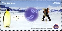 Colnect-1434-452-Emperor-Penguin-Aptenodytes-forsteri-Yeast-Fungus-Resear.jpg