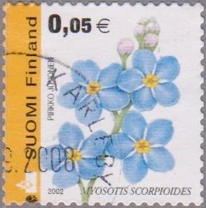 Colnect-2913-041-Water-Forget-me-not-Myosotis-scorpioides-perf-14.jpg