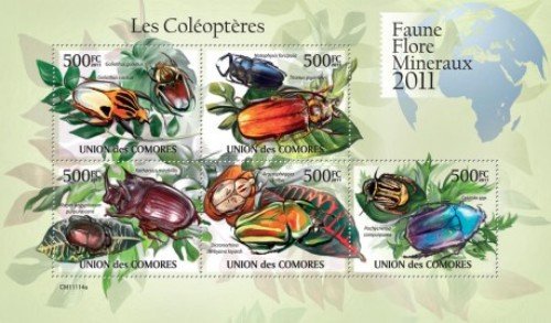 Colnect-4985-950-Insects---Beetles.jpg