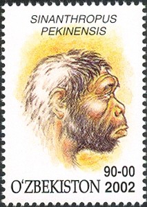 Colnect-2427-372-Sinanthropus-pekinensis.jpg