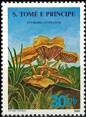 Colnect-2918-558-Entoloma-clypeatum.jpg