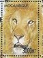 Colnect-5128-787-Panthera-leo-persica.jpg