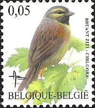 Colnect-567-755-Cirl-Bunting-Emberiza-cirlus.jpg