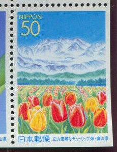 Colnect-6257-715-Tateyama-Mountain-Range-and-Tulip-field.jpg