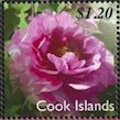 Colnect-4071-037-Pink-peony-Paeonia-suffruticosa.jpg