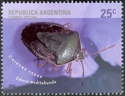 Colnect-1239-075-Green-and-Brown-Stink-Bug-Edessa-meditabunda.jpg