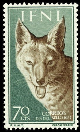 Colnect-1359-597-Golden-Jackal-Canis-aureus.jpg