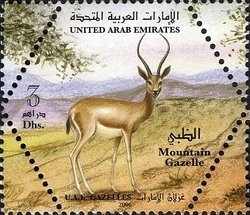 Colnect-1384-819-Arabian-Mountain-Gazelle-Gazella-gazella-cora.jpg