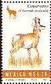 Colnect-1491-470-Pronghorn-Antilocapra-americana.jpg