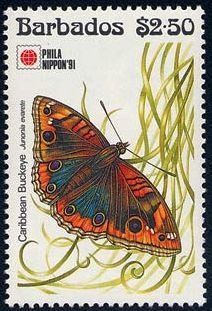 Colnect-1497-081-Westindean-Buckeye-Junonia-evarete.jpg