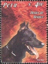 Colnect-1557-490-Beauceron-Canis-lupus-familiaris.jpg