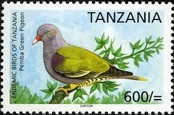 Colnect-1690-915-Pemba-Green-pigeon-Treron-pembaensis.jpg