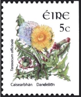 Colnect-1718-925-Dandelion--Taraxacum-officinale.jpg