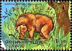 Colnect-1739-191-Brown-Bear-Ursus-arctos.jpg