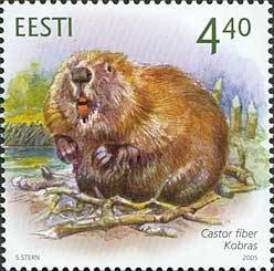 Colnect-190-556-Eurasian-Beaver-Castor-fiber.jpg