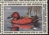 Colnect-205-106-Cinnamon-Teal-Anas-cyanoptera.jpg