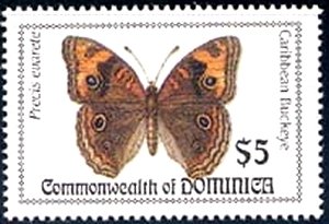 Colnect-2167-735-Westindean-Buckeye-Junonia-evarete.jpg