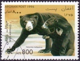 Colnect-2196-046-Malayan-Sun-Bear-Helarctos-malayanus.jpg