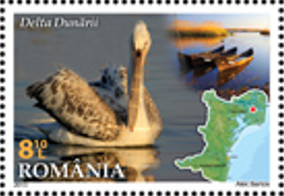 Colnect-2918-660-Dalmatian-Pelican-Pelecanus-crispus-Danube-Delta.jpg