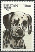 Colnect-3377-295-Dalmatian-Canis-lupus-familiaris.jpg