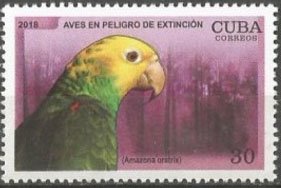 Colnect-5023-350-Birds-in-danger-of-Extinction.jpg