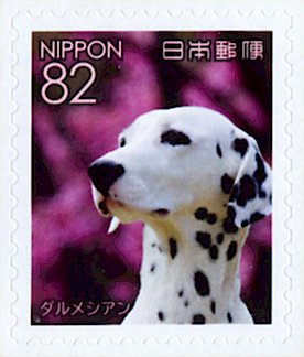 Colnect-5284-659-Dalmatian-Canis-lupus-familiaris.jpg