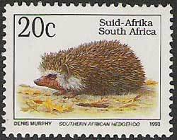 Colnect-800-940-Southern-African-Hedgehog-Atelerix-frontalis.jpg