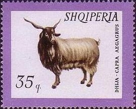 Colnect-723-176-Domestic-Goat-Capra-aegagrus-hircus.jpg