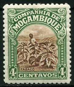 Colnect-1322-278-Tobacco-plantation.jpg