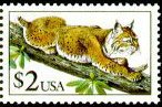 Colnect-2774-170-Bobcat-Lynx-rufus.jpg