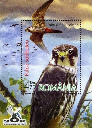 Colnect-761-916-Eurasian-Hobby-nbsp-Falco-subbuteo.jpg