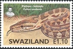 Colnect-1696-593-Southern-African-Rock-Python-Python-sebae-natalensis.jpg