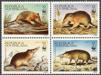 Colnect-855-297-Hispaniolan-solenodon-Agauta-Solenodon-paradoxus.jpg