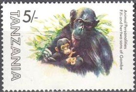 Colnect-1075-429-Chimpanzee-Pan-troglodytes-Fifi-with-Young---Gombe.jpg