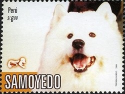 Colnect-1584-935-Samoyed-Dog-Canis-lupus-familiaris.jpg