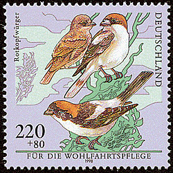 Stamp_Germany_1998_MiNr2019_Wohlfahrt_Rotkopfw%25C3%25BCrger.jpg