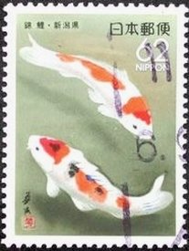 Colnect-1011-355-Fancy-Koi-Carp-Cyprinus-carpio.jpg