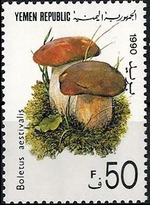 Colnect-2943-490-Boletus-aestivalis.jpg