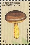 Colnect-3226-454-Boletus-ornatipes.jpg