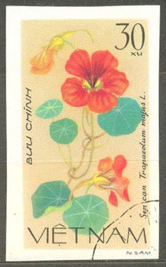 Colnect-3821-059-Tropaeolum-tropaeolum-Majus.jpg